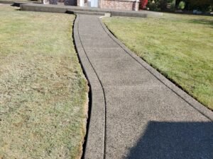 Resized_20241013_135704.jpeg[1]