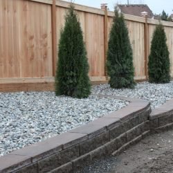Wall, planting, and fence!